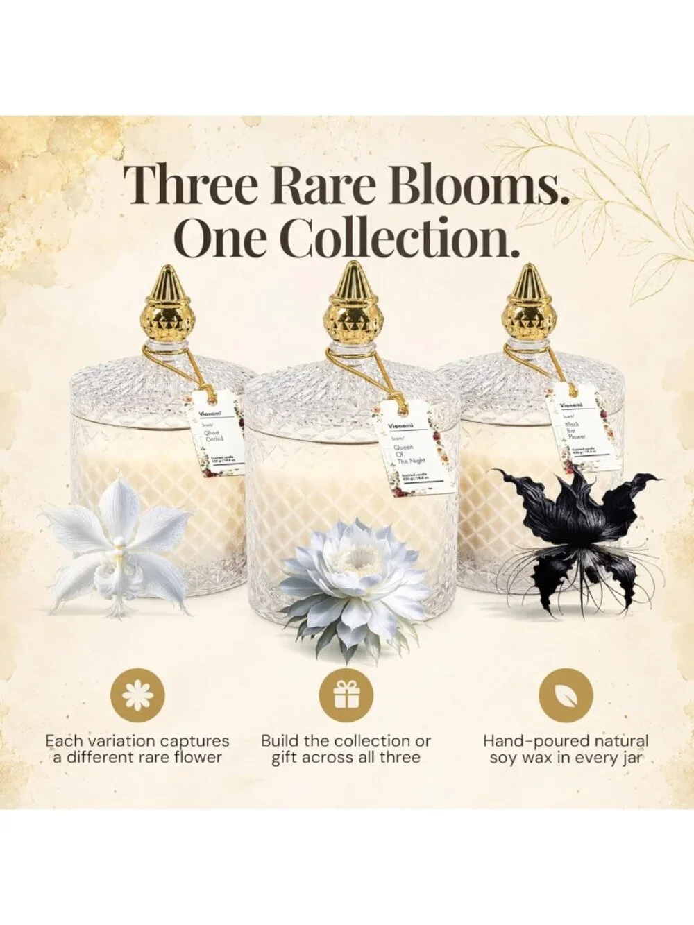Luxury Scented Candle Gift - Queen of the Night Fragrance, Elegant Glass Jar, 80